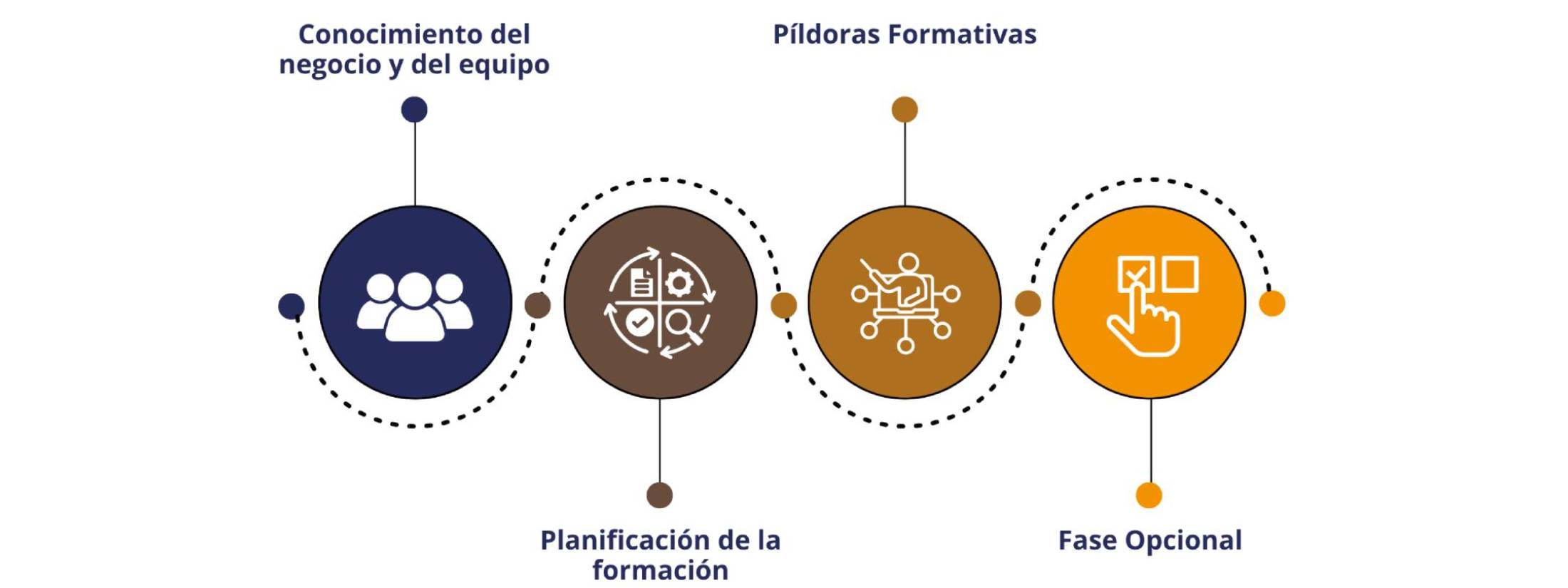 Fasesformacion Fases formación